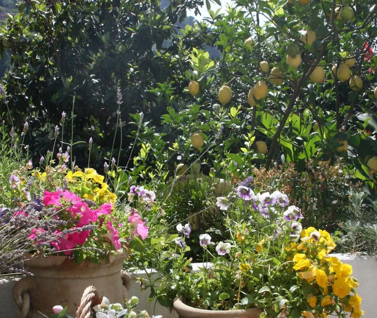 B&B Le Giare Monterosso al Mare Bed & Breakfast